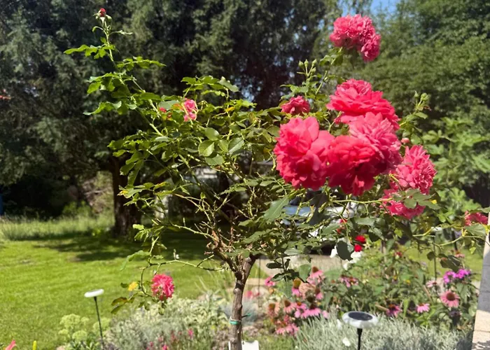 Haus Sonnenklang Sajkod Case de vacanță Tihany